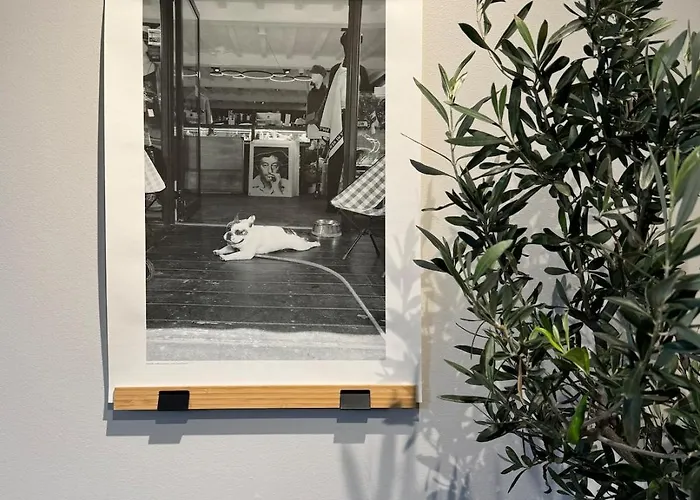 Unique, Newly Renovated * Turku